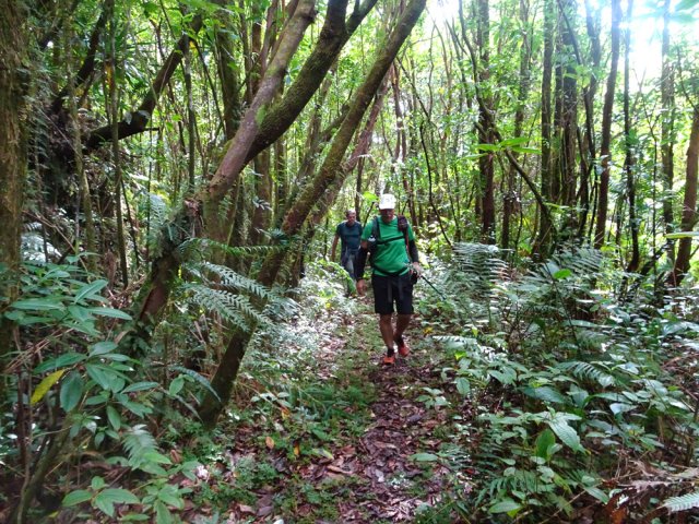 D'autres parties plates où la marche est un réel plaisir
