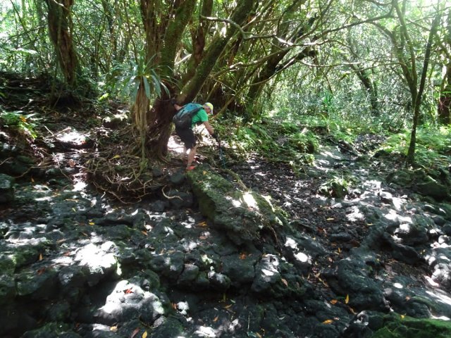 Nième traversée de la Ravine de la Mare au fond moussu et glissant