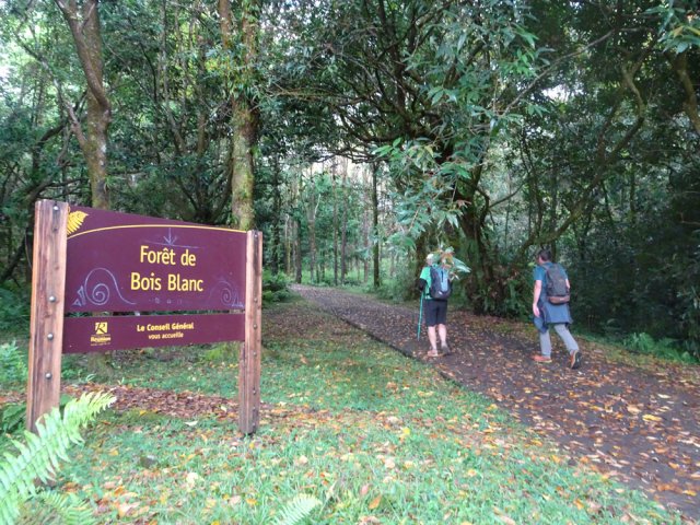 Début de la route forestière
