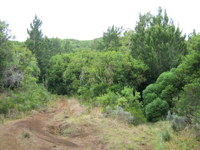 Un croisement de sentier parmi la douzaine rencontrés