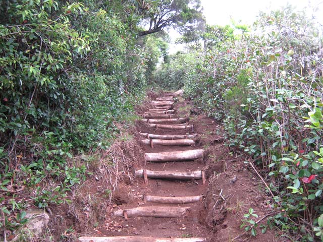 Une portion du GR plus propre que sous les jamrosats