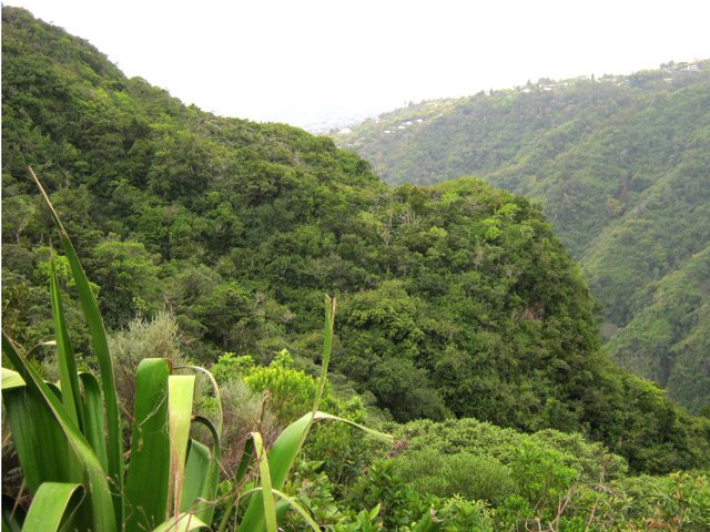 La profonde vallée de la Rivière Saint-Denis