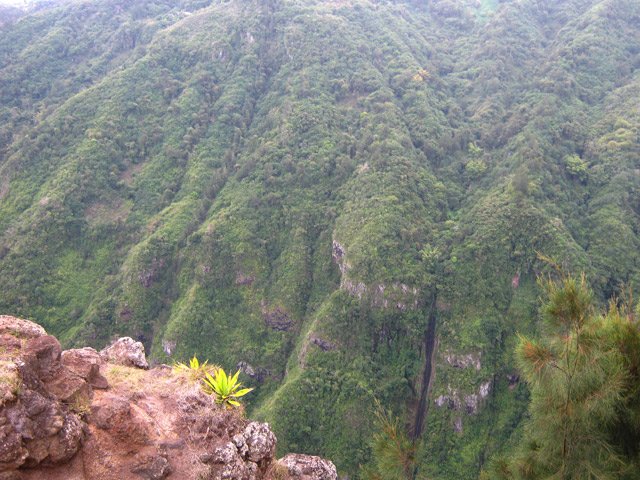 Une autre vue de la falaise coupée de petites cascades