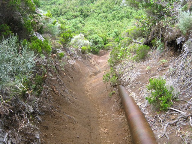 Le sentier terreux longeant la petite canalisation