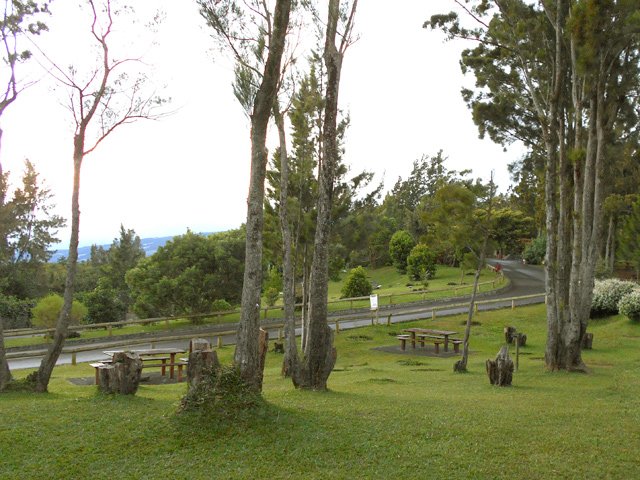 La petite route qui traverse le parc du Colorado