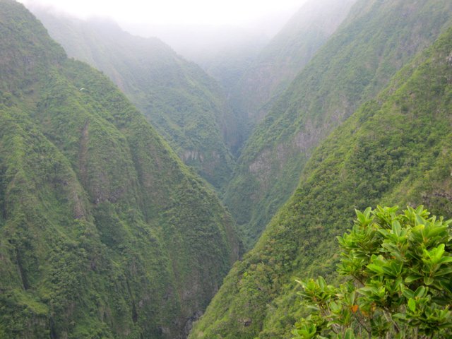 La vallée de la Rivière Saint-Denis vers l'amont