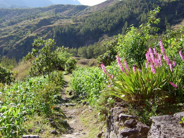 Les premières cases fleuries de l'îlet qui respire le calme