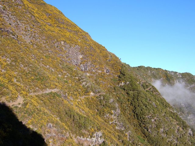 La seule véritable portion plate du sentier du Maïdo