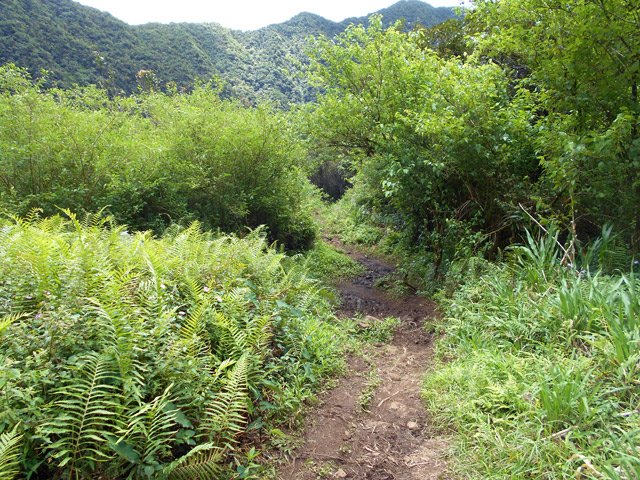 Le sentier devient un peu plus boueux par endroits