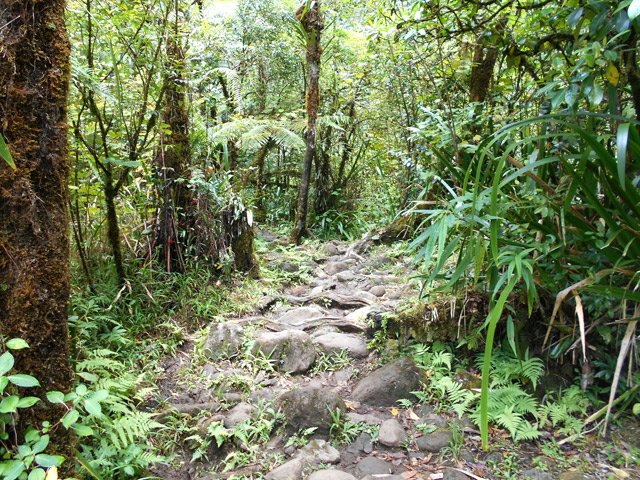 Un peu plus loin, ce sont les cailloux qui prennent le relais
