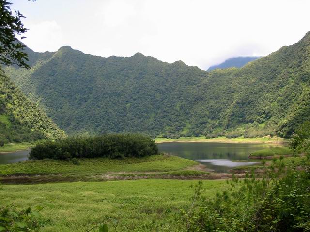 La bande de terre recouverte de jamrosats en arrivant à l'étang