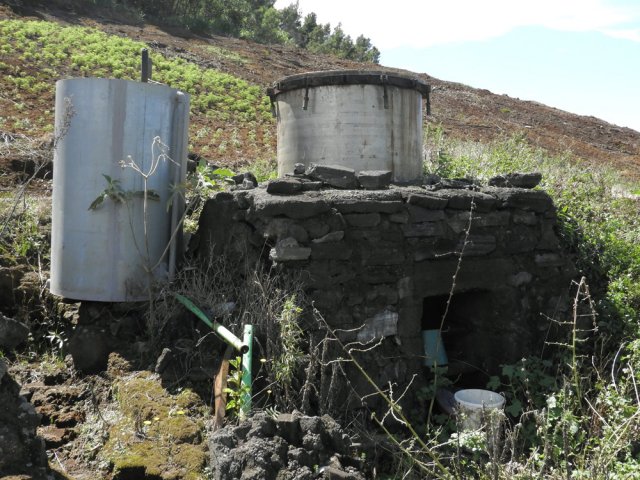 Un alambic dans un triste état près de son champ de géraniums