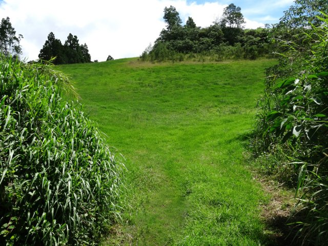Une prairie très proche des habitations