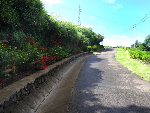 Dès le départ, les abords sont fleuris