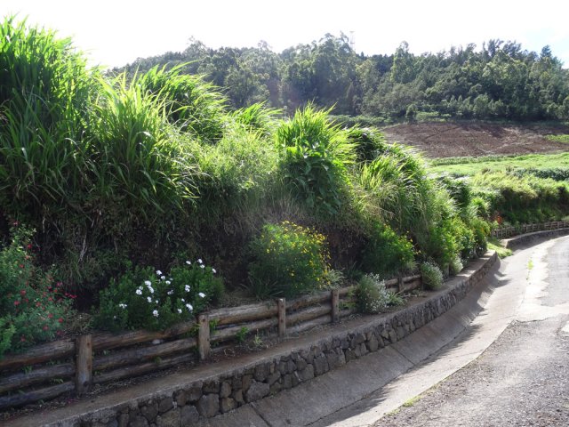 Le sommet du piton est très proche