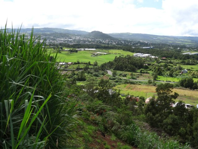 Panorama sur la Plaine des Cafres et le Piton de la Ravine Blanche