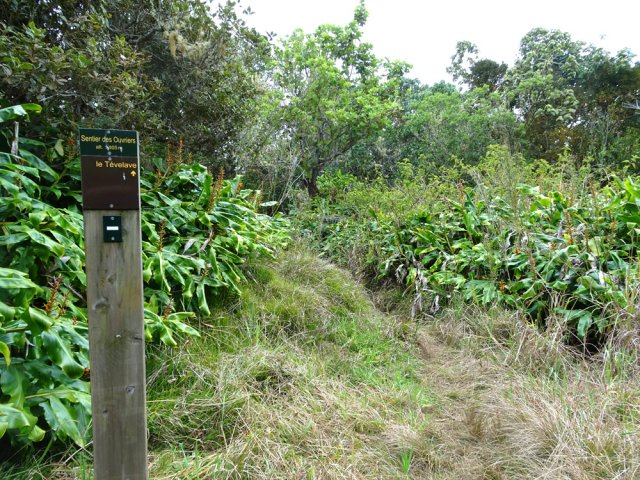 Le poteau de l'ONF au tout début du Sentier des Ouvriers