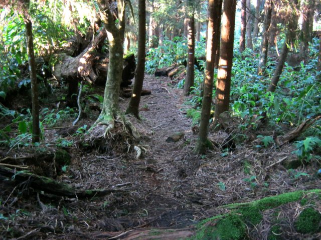 Rencontre avec l'ancien sentier toujours opérationnel