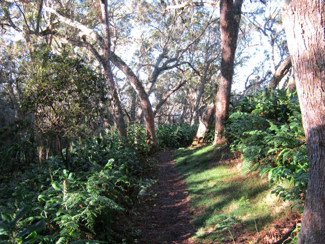 Le sentier est toujours en bon état
