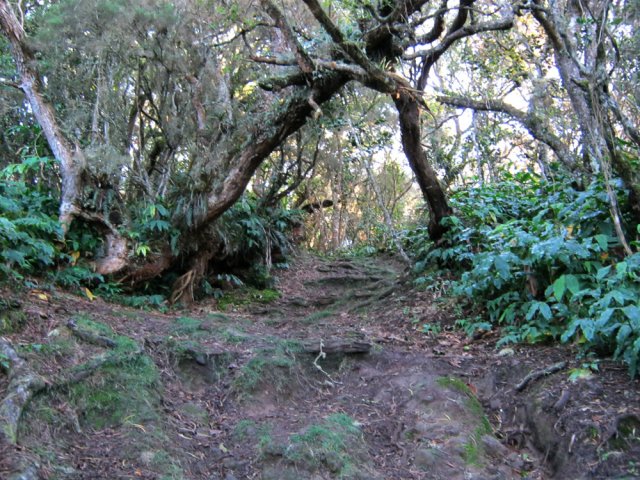 Quelques courtes pentes un peu plus fortes