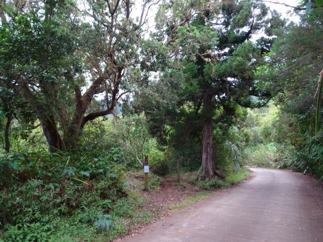 Il est facile de retrouver le sentier toujours bien indiqué