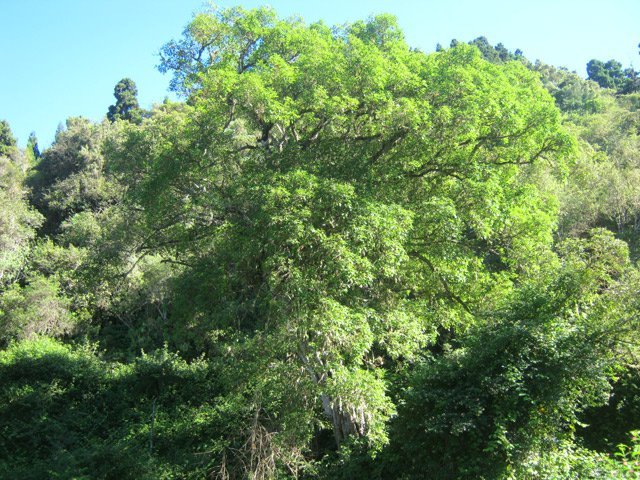 Ne pas manquer le magnifique affouche dans un virage