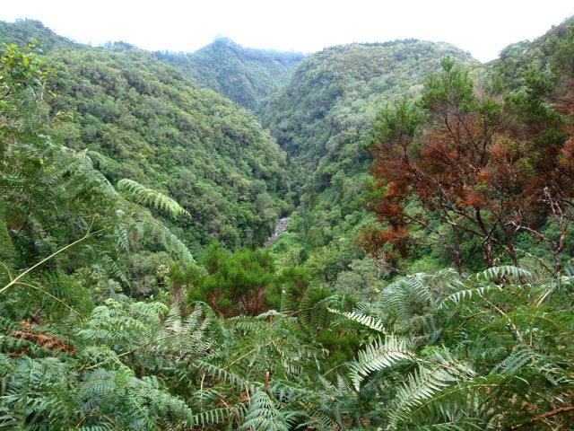 La très profonde vallée du Bras de Jeanne
