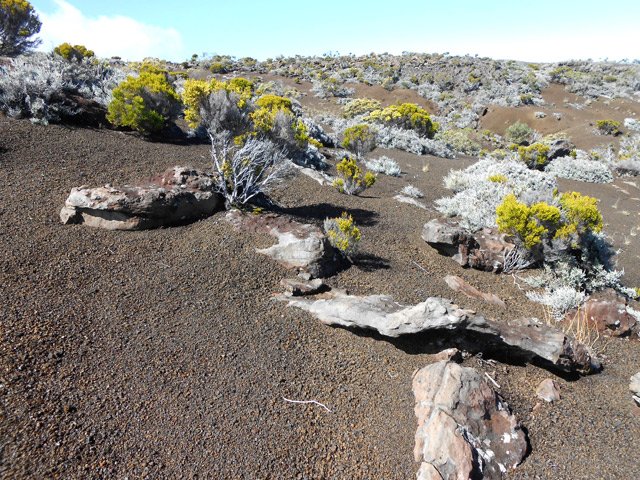 Roches et lapilli tout le long du sentier