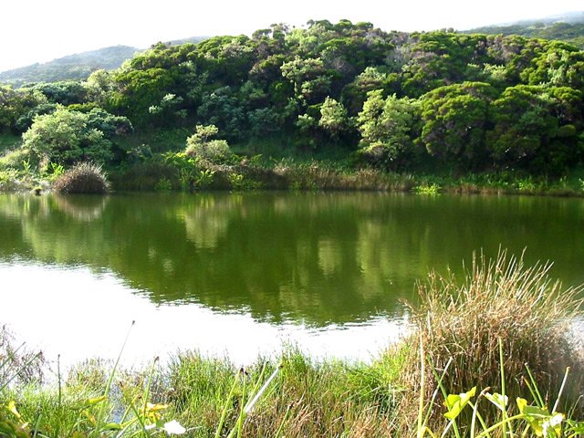 Un dernier coup d’œil au petit lac avant de reprendre le chemin inverse