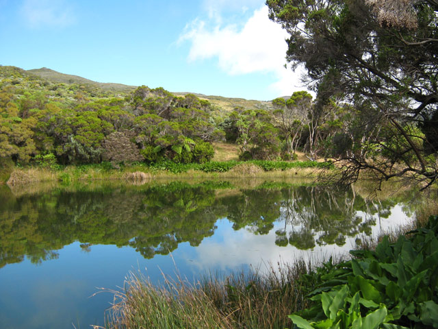 Calme et quiétude assurés en arrivant au bord du lac de cratère