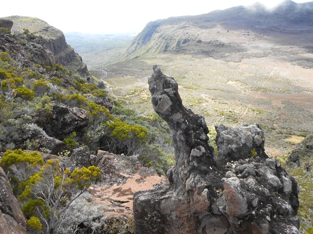 La nature laisse toujours de belles formes originales