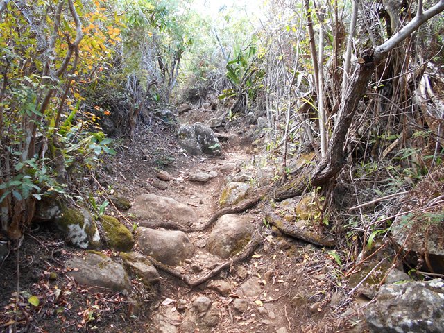 Rares parties caillouteuses avec hautes marches