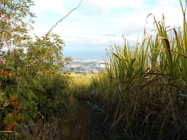On longe souvent les cannes avec quelques panoramas restreints sur le Port