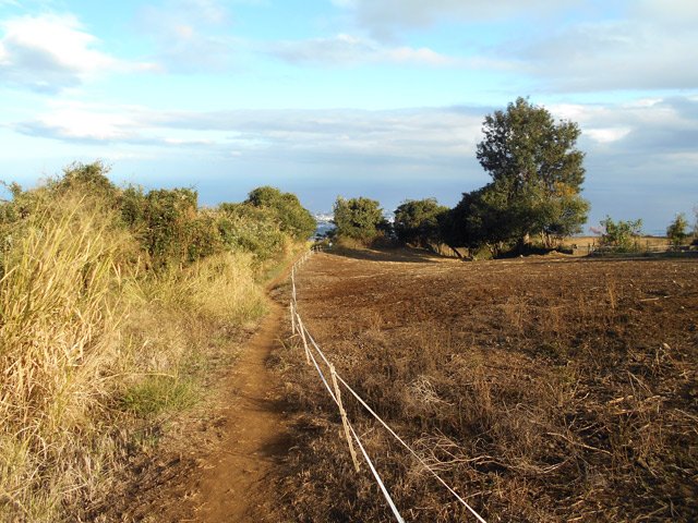 L'arrivée au ranch du plateau