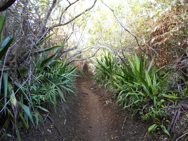 Chocas après le croisement venant du Chemin Ratinaud
