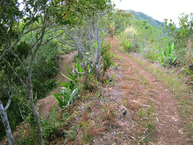 Le croisement des deux itinéraires possibles pour rejoindre Dos d’Âne