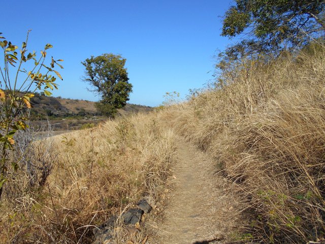 Beaucoup d'herbe et également des traces d'incendies