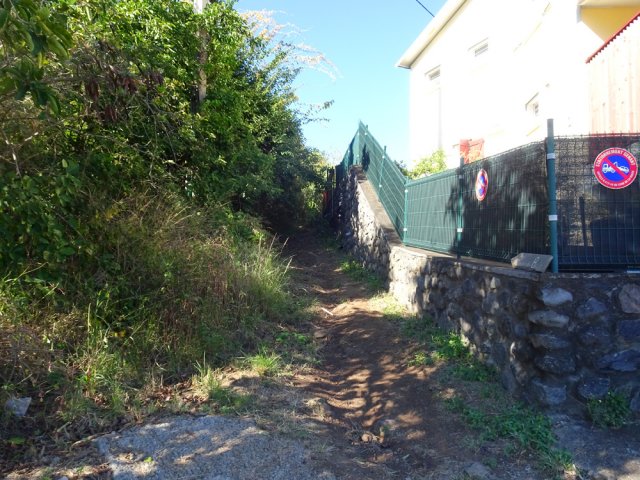 Chemin plus étroit bordé un peu plus loin de bambous