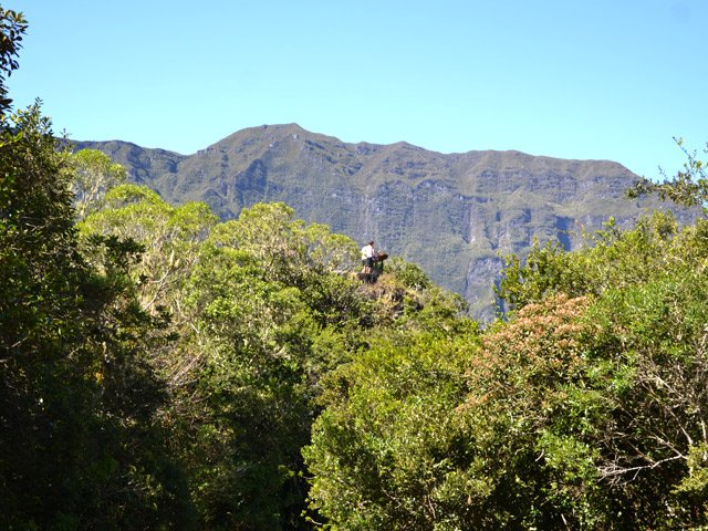 Dans une trouée, on aperçoit les visiteurs sur la Roche Merveilleuse