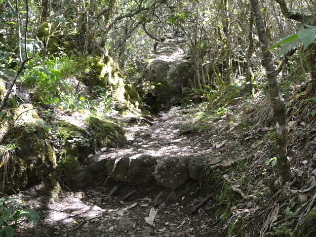 Les marches sont rares sur le circuit