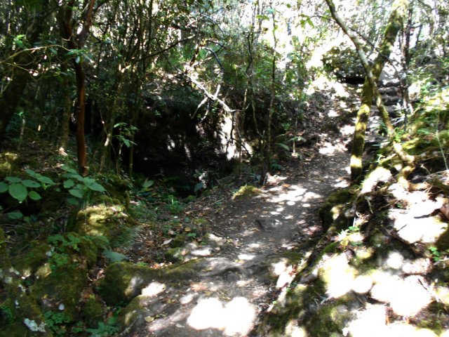 Fin de la boucle sur un sentier large et presque à plat