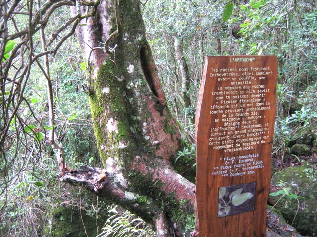 Bonnes explications originales, avec des textes inhabituels