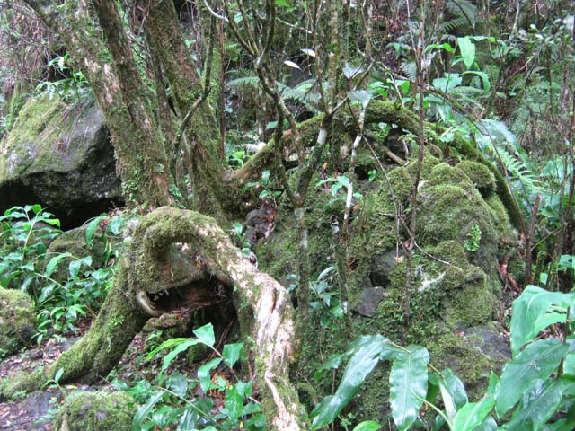 C'est toute une collection de clichés qu'on peut réaliser ici