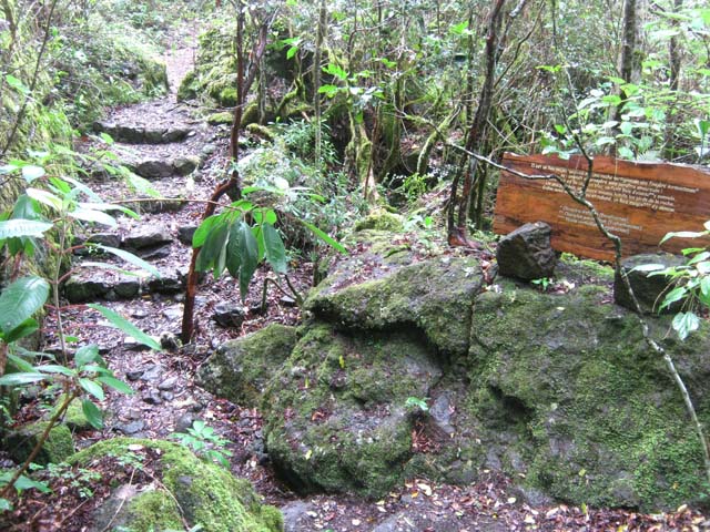 Exemple de sentier et de pancarte en bois tout le long du parcours