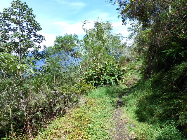 Une autre portion de sentier vers Bras Sec