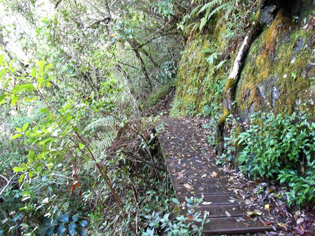 Une passerelle pour une partie étroite