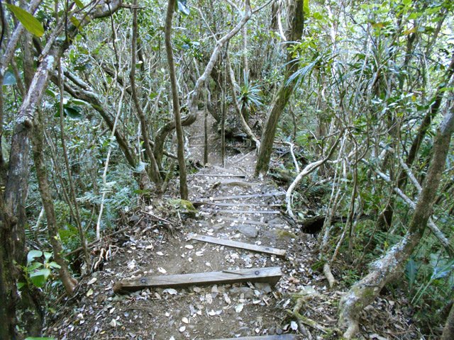 La portion la plus raide du sentier