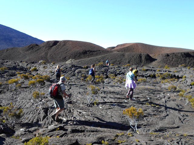 Le flot incessant des marcheurs passe en premier par le Formica Leo