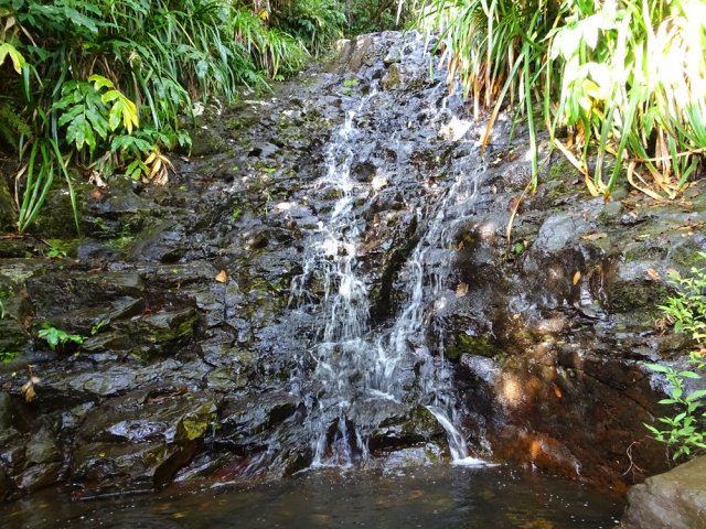 Une fine chute qui égaye la sortie