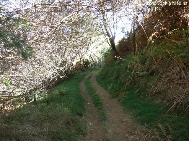 Partie très propre de la piste
